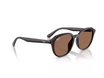 Ray-Ban Slnečné okuliare RB 4459D 623173