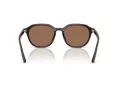 Ray-Ban Slnečné okuliare RB 4459D 623173
