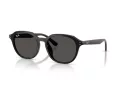 Ray-Ban Slnečné okuliare RB 4459D 901/87