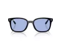 Ray-Ban Slnečné okuliare RB 4461D 601/80