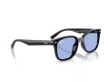 Ray-Ban Slnečné okuliare RB 4461D 601/80