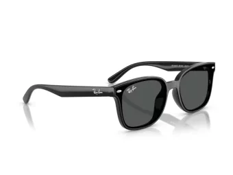 Ray-Ban Slnečné okuliare RB 4461D 601/87