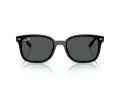 Ray-Ban Slnečné okuliare RB 4461D 601/87