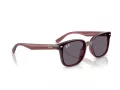 Ray-Ban Slnečné okuliare RB 4461D 659373