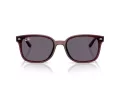 Ray-Ban Slnečné okuliare RB 4461D 659373