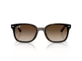 Ray-Ban Slnečné okuliare RB 4461D 710/13