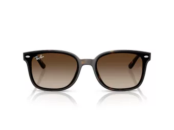 Ray-Ban Slnečné okuliare RB 4461D 710/13