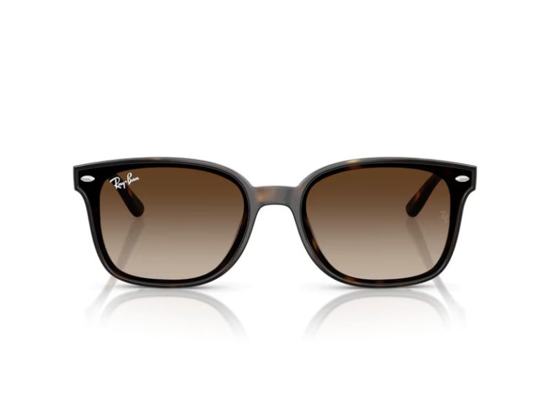 Ray-Ban Slnečné okuliare RB 4461D 710/13
