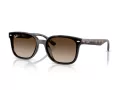 Ray-Ban Slnečné okuliare RB 4461D 710/13