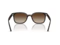 Ray-Ban Slnečné okuliare RB 4461D 710/13