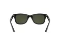 Ray-Ban Slnečné okuliare RB 4640 601/31