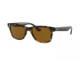 Ray-Ban Slnečné okuliare RB 4640 710/33