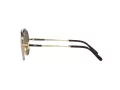 Ray-Ban Aviator Titanium Slnečné okuliare RB 8225 3138/52