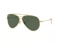 Ray-Ban Aviator Reverse Slnečné okuliare RB 0RBR0101S 001/VR