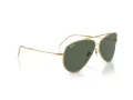 Ray-Ban Aviator Reverse Slnečné okuliare RB 0RBR0101S 001/VR