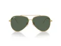 Ray-Ban Aviator Reverse Slnečné okuliare RB 0RBR0101S 001/VR