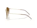 Ray-Ban Round Reverse Slnečné okuliare RB R0103S 001/CB