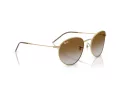 Ray-Ban Round Reverse Slnečné okuliare RB R0103S 001/CB