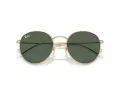 Ray-Ban Round Reverse Slnečné okuliare RB R0103S 001/VR