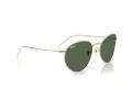 Ray-Ban Round Reverse Slnečné okuliare RB R0103S 001/VR