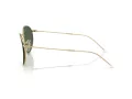 Ray-Ban Round Reverse Slnečné okuliare RB R0103S 001/VR