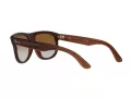 Ray-Ban Boyfriend Reverse Slnečné okuliare RB R0501S 6709CB