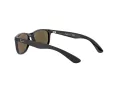 Ray-Ban Slnečné okuliare RJ 9062S 7013/55