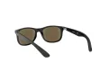 Ray-Ban Slnečné okuliare RJ 9062S 7013/55