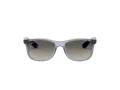 Ray-Ban Slnečné okuliare RJ 9062S 7050/11