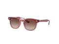 Ray-Ban Slnečné okuliare RJ 9098S 715413