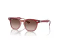 Ray-Ban Slnečné okuliare RJ 9098S 715413