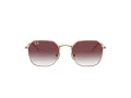 Ray-Ban Slnečné okuliare RJ 9594S 291/8H