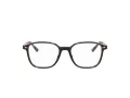 Ray-Ban Leonard Dioptrické okuliare RX 5393 2012