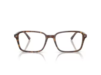 Ray-Ban Raimond Dioptrické okuliare RX 5431 8395