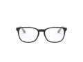 Ray-Ban Dioptrické okuliare RY 1592 3529