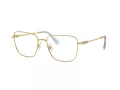 Swarovski Dioptrické okuliare SK 1003 4021
