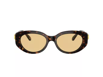 Swarovski Slnečné okuliare SK 6002 1002/8