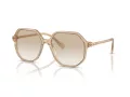 Swarovski Slnečné okuliare SK 6003 103411