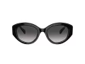 Swarovski Slnečné okuliare SK 6005 10018G