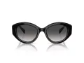 Swarovski Slnečné okuliare SK 6005 10018G