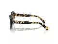 Swarovski Slnečné okuliare SK 6005 100913