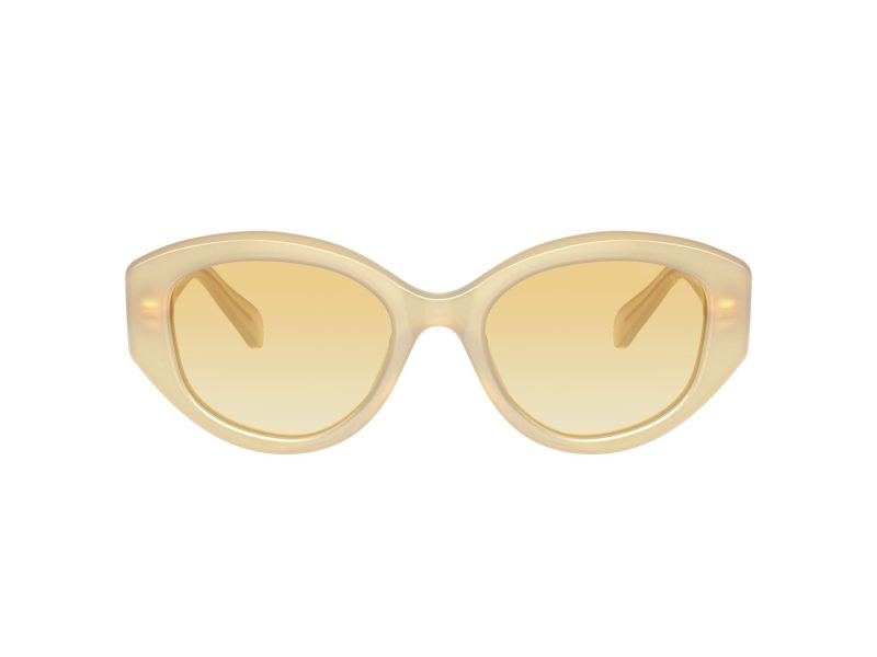Swarovski Slnečné okuliare SK 6005 10232Q