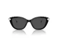 Swarovski Slnečné okuliare SK 6010 103887