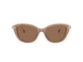 Swarovski Slnečné okuliare SK 6010 2002OK