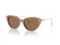 Swarovski Slnečné okuliare SK 6010 2002OK