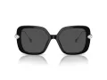 Swarovski Slnečné okuliare SK 6011 103887