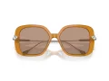 Swarovski Slnečné okuliare SK 6011 200563