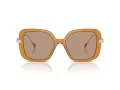 Swarovski Slnečné okuliare SK 6011 200563