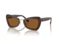 Swarovski Slnečné okuliare SK 6012 101173