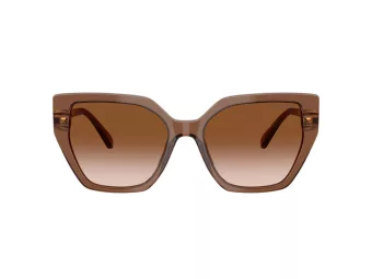 Swarovski Slnečné okuliare SK 6016 106713